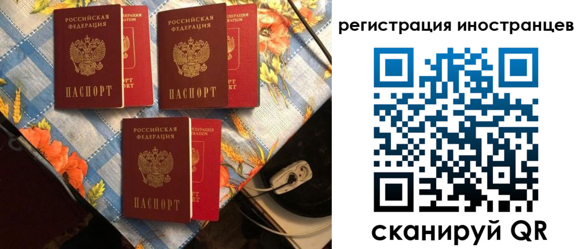 прописка поиск в Дигоре